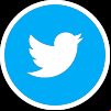 Icon Twitter